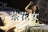 經(jīng)典《茶花女》讀書心得