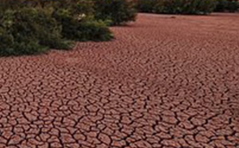 (���T(m��n))��������������8ƪ