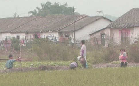 �ؼҸ�������