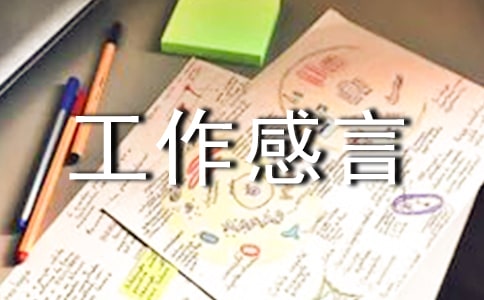 ���M�������� -����