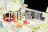 愛(ài)崗敬業(yè)工作感言