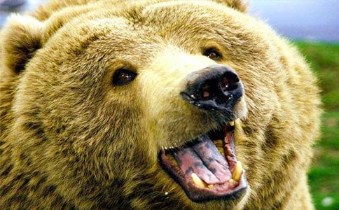 �ʹ�������