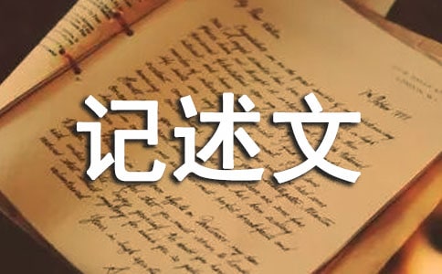 初中優(yōu)秀記述文(精選)