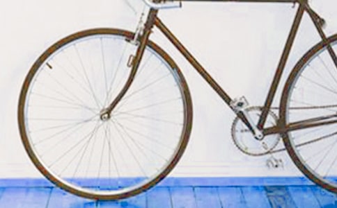 騎腳踏車優(yōu)秀作文