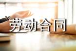 標(biāo)準(zhǔn)格式勞動合同書(2)