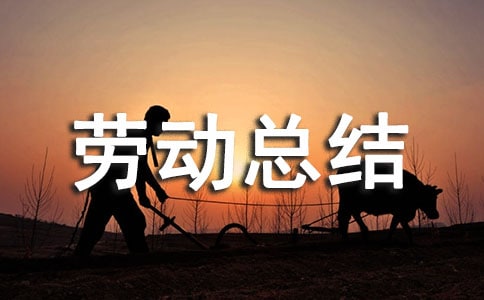 小學勞動周勞動總結(精選10篇)