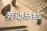 勞動總結(jié)和感想(精選20篇)