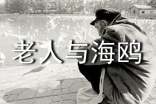 《老人與海鷗》讀書(shū)筆記600字