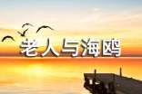 小學(xué)語文人教版老人與海鷗教案