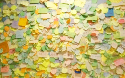 ʧ���˰�ο��.����