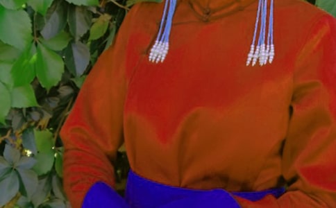 蒙古族的蒙古包作文450字