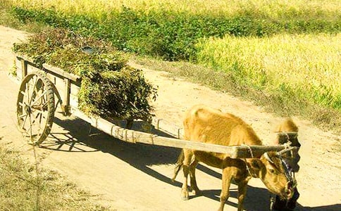 ���H����ţ܇����