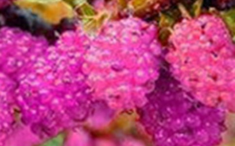 ժɣ������11ƪ�����ã�