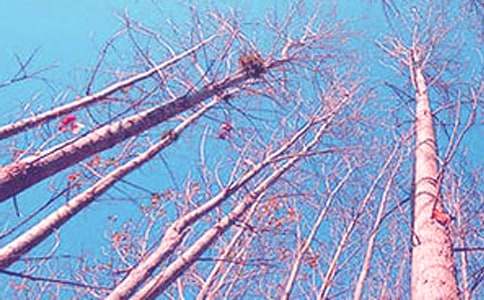 ���ח�Yٝ���̌W(xu��)���