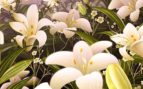 �������ϵİٺϻ����x���