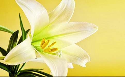 �^����ӛ�ٺϻ�