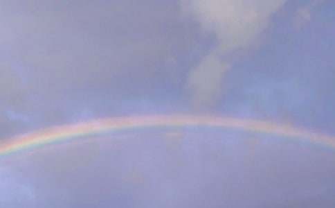 (優(yōu)秀)彩虹作文600字