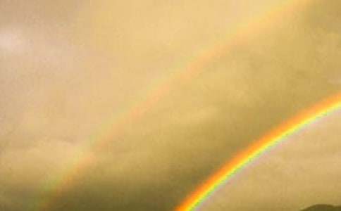 �P�ڲʺ������25ƪ(��(y��u)��)