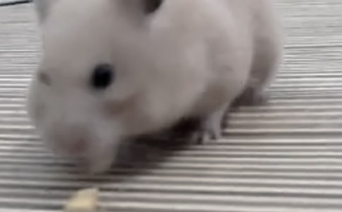 ����}������150�֣�ͨ��4ƪ��