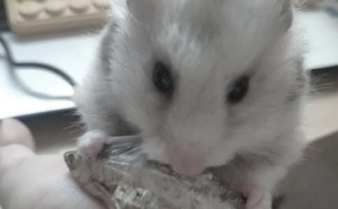 �}(c��ng)���^����ӛ