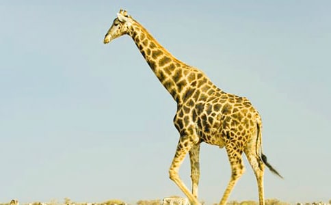 �L�i¹�����ġ���(y��u)�㡿