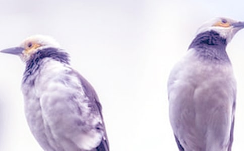 ���ܽ�(j��ng)���Z�320��