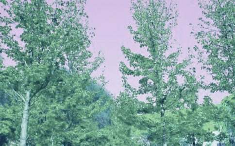 �P(gu��n)�ڴ��L(f��ng)����15ƪ