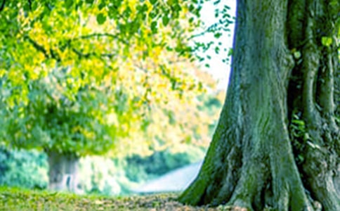 [��(y��u)��]�����������15ƪ