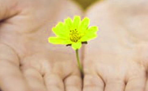 ��H��Ǹ���ŅR��13ƪ