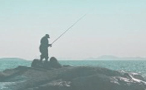 精選小貓釣魚的作文300字匯總九篇