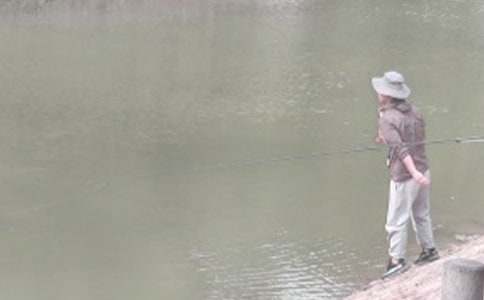 ����~�Ć�ʾ���x���(���\15ƪ)