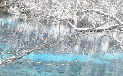 ����������Ŵ�ȫ