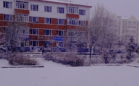 ����ů�(y��ng)����15ƪ����(y��u)�㡿