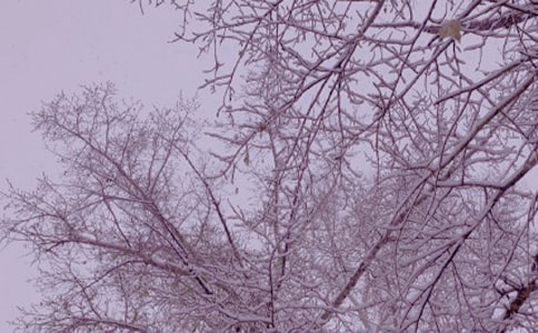 ����ů�����15ƪ[��(y��u)��]