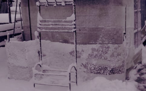 ����ůꖵ�Ψ������