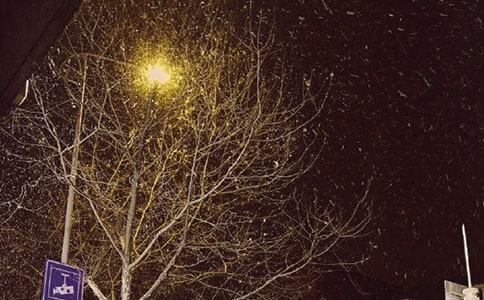 ���콛(j��ng)��ף������