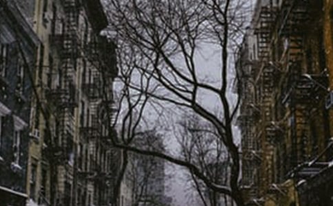 《濟南的冬天》讀后感(通用22篇)