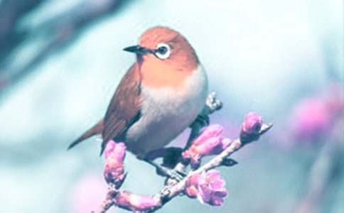 �^���(d��ng)ֲ������