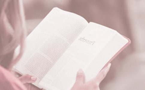 4.23�x���Շ����µ����v���ЌW(xu��)������