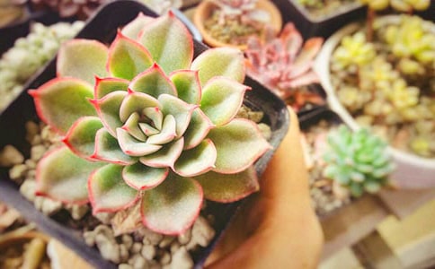 �����^����ӛ���\15ƪ