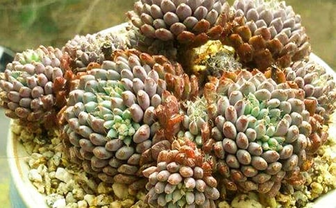 �����A�������^����ӛ��ƪ