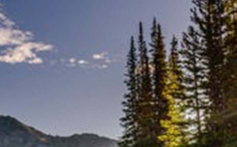 �P(gu��n)���L(f��ng)����Ψ������