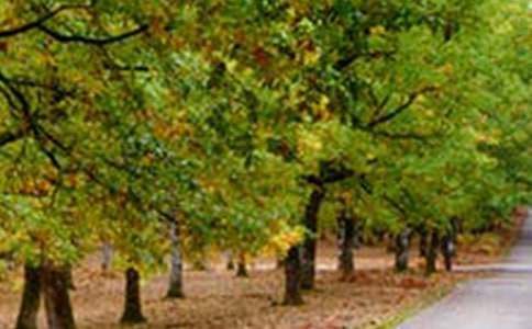 ���L(f��ng)����Ԓ�}�ă�(y��u)������