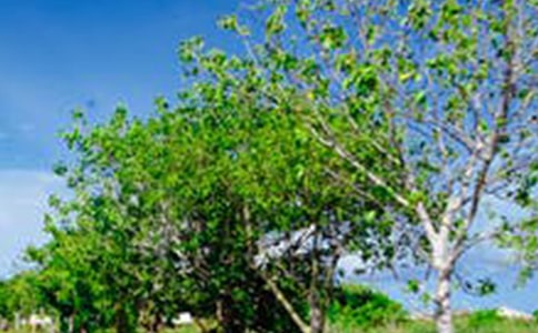 ���L����Ԋ���Ԋ_���L���Ĺ�Ԋ