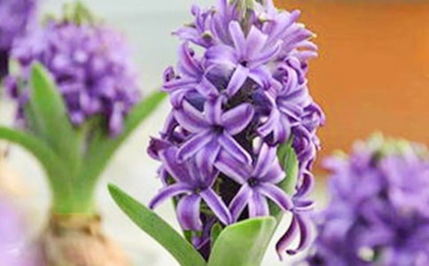 �L(f��ng)�����^����ӛ