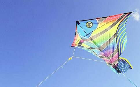 ���������L�~����15ƪ