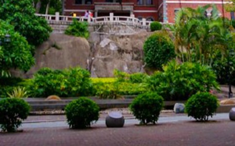 ���ˎZΨ������