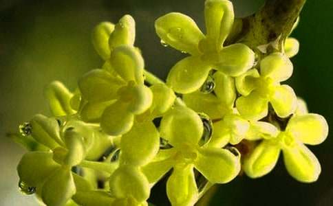 �𻨘�(sh��)�^����ӛ