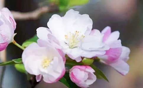 ���~(y��)���Ľ�(j��ng)���Z(y��)�