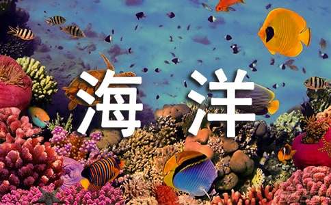 《海洋天堂》觀后感